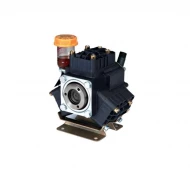 Мембранный насос Bertolini PA 330 VF